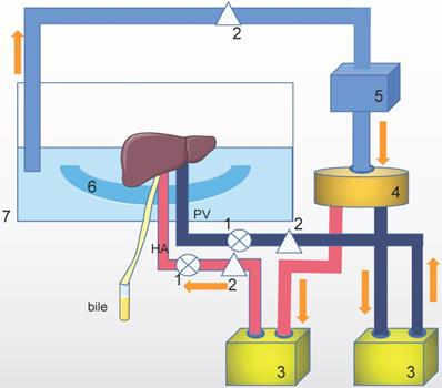 Int J Med Sci Image