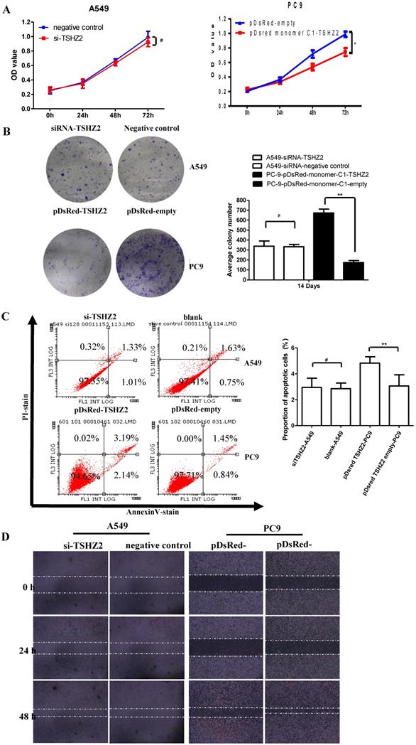 Int J Med Sci Image