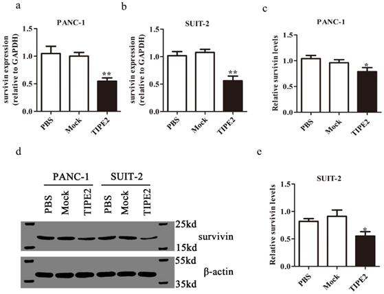 Int J Med Sci Image