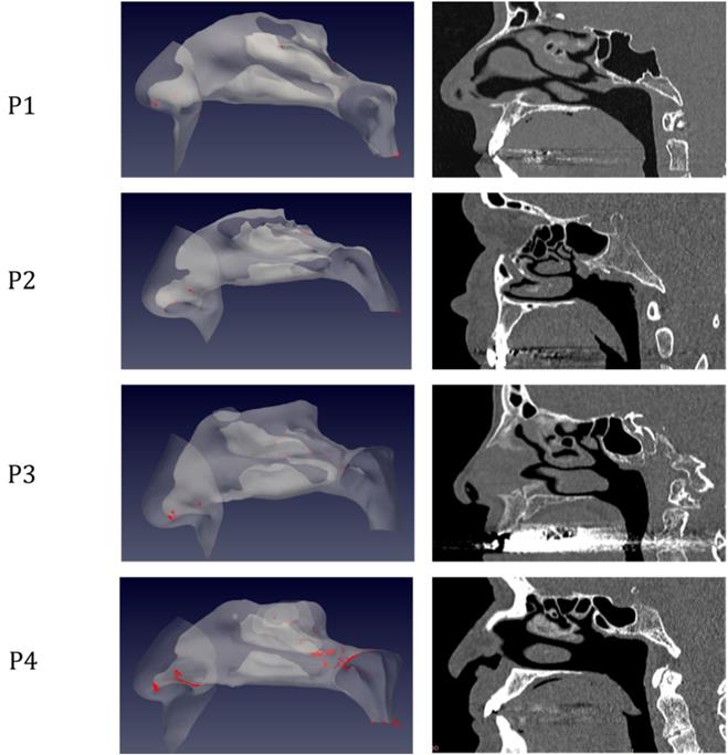 Int J Med Sci Image