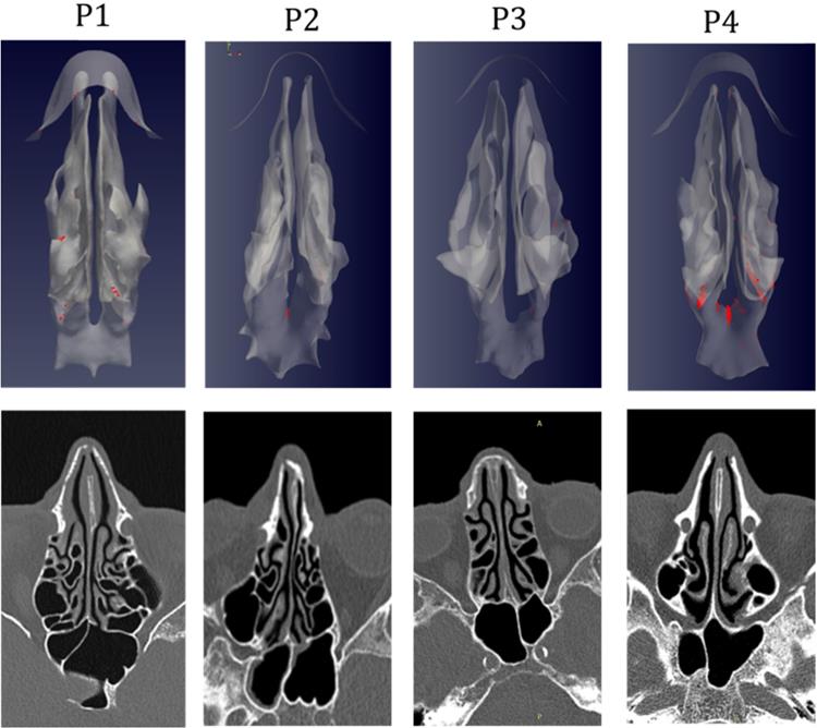 Int J Med Sci Image