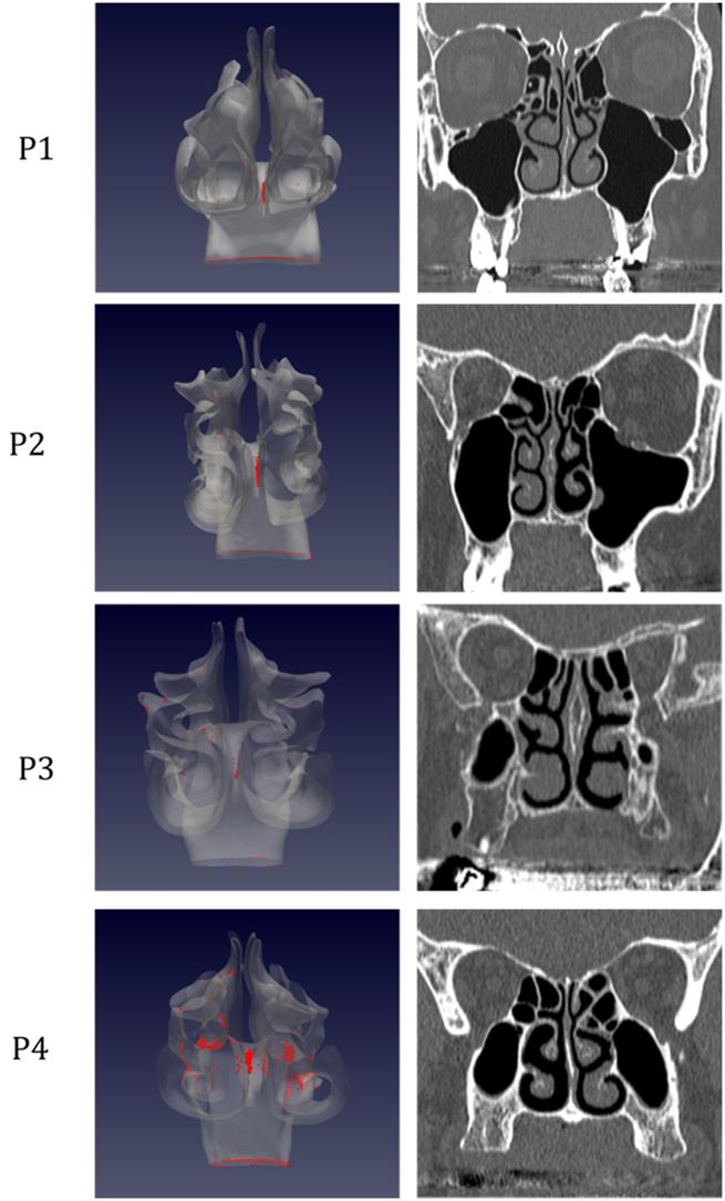 Int J Med Sci Image