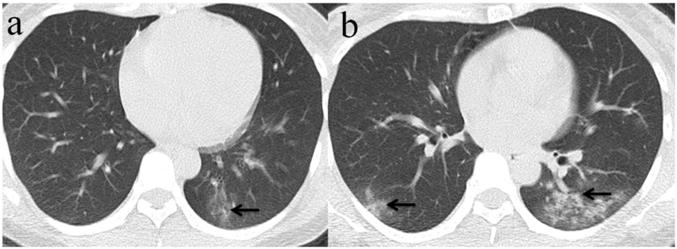 Int J Med Sci Image