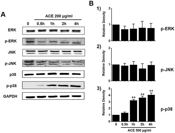 Int J Med Sci Image