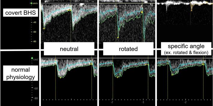 Int J Med Sci Image