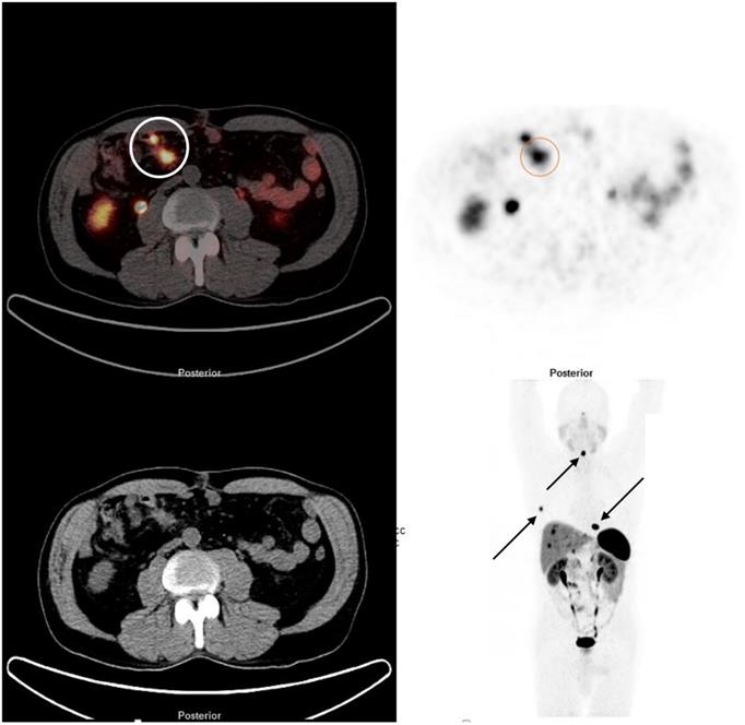 Int J Med Sci Image