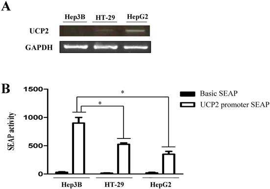 Int J Med Sci Image