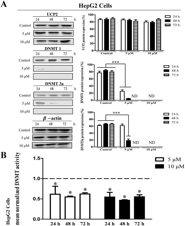 Int J Med Sci Image