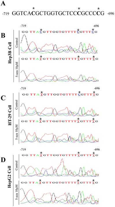 Int J Med Sci Image