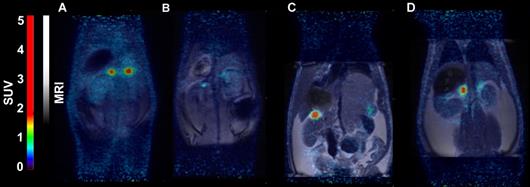 Int J Med Sci Image