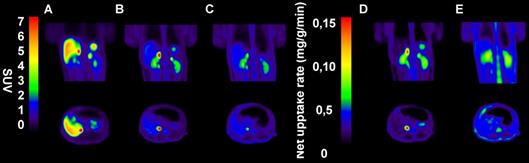 Int J Med Sci Image