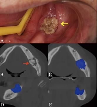 Int J Med Sci Image