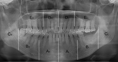 Int J Med Sci Image