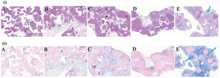 Int J Med Sci Image