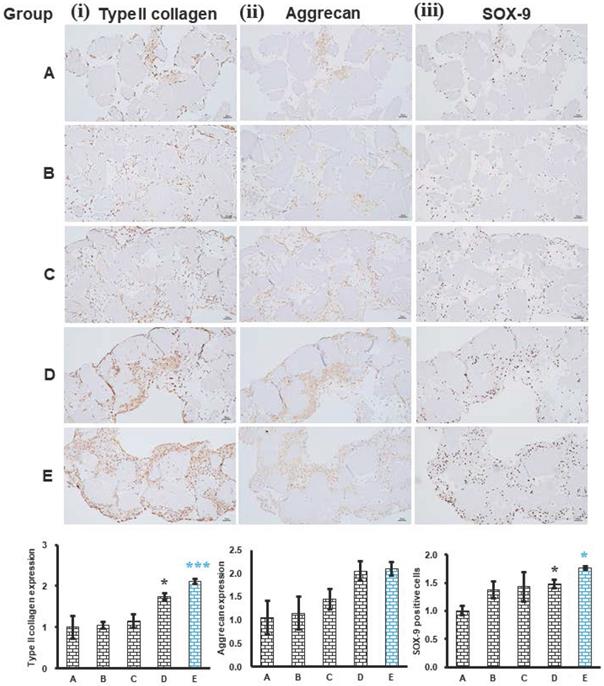 Int J Med Sci Image