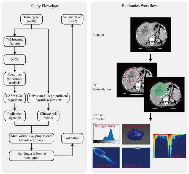 Int J Med Sci Image