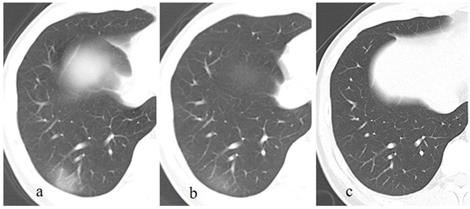 Int J Med Sci Image