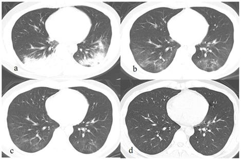 Int J Med Sci Image