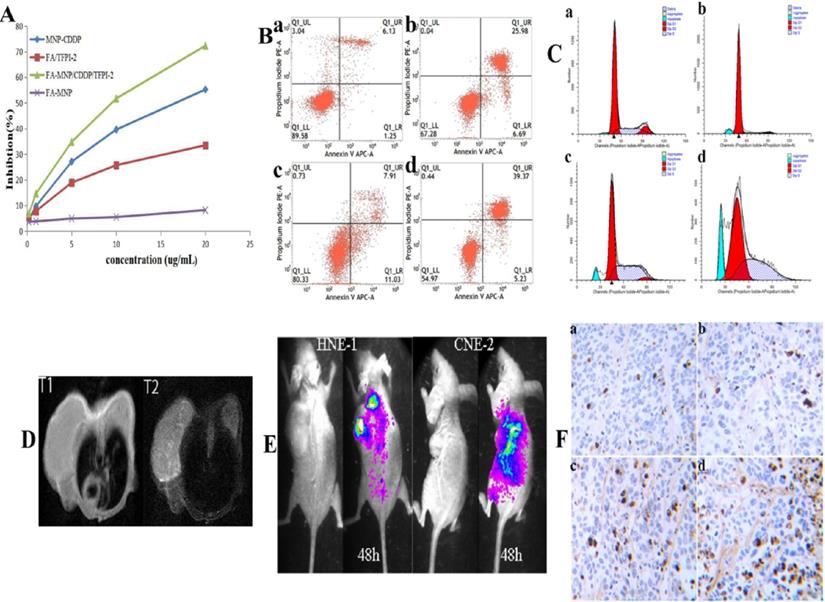 Int J Med Sci Image