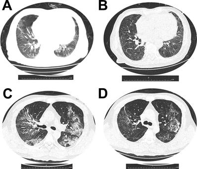 Int J Med Sci Image