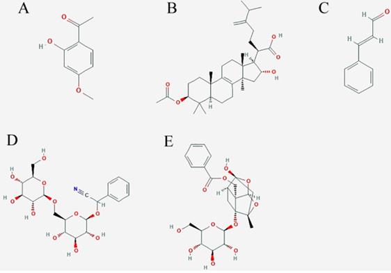 Int J Med Sci Image