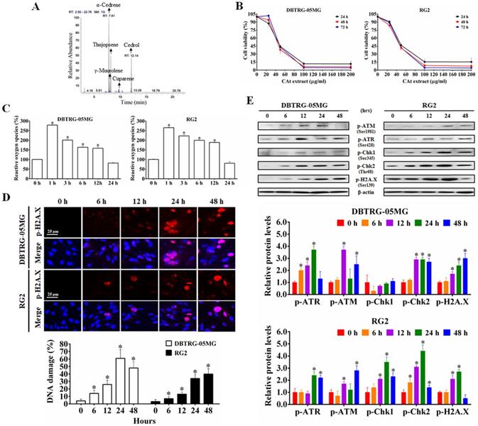 Int J Med Sci Image