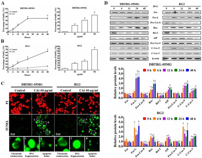 Int J Med Sci Image