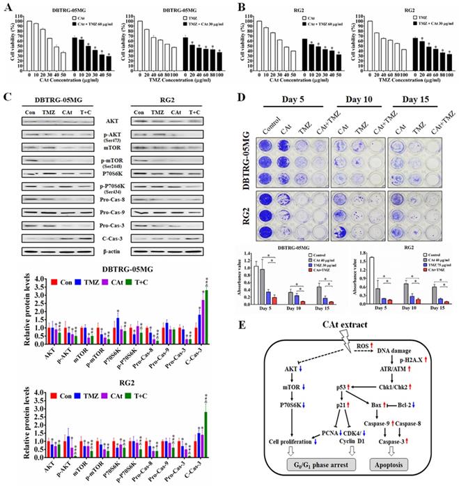 Int J Med Sci Image