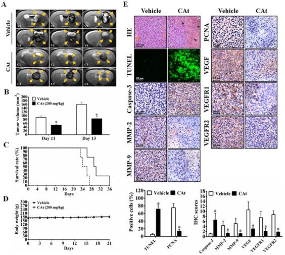 Int J Med Sci Image