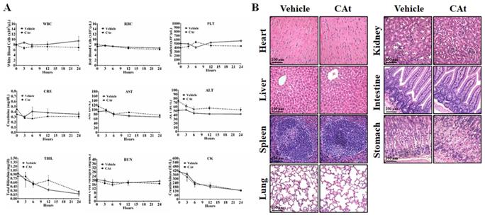 Int J Med Sci Image