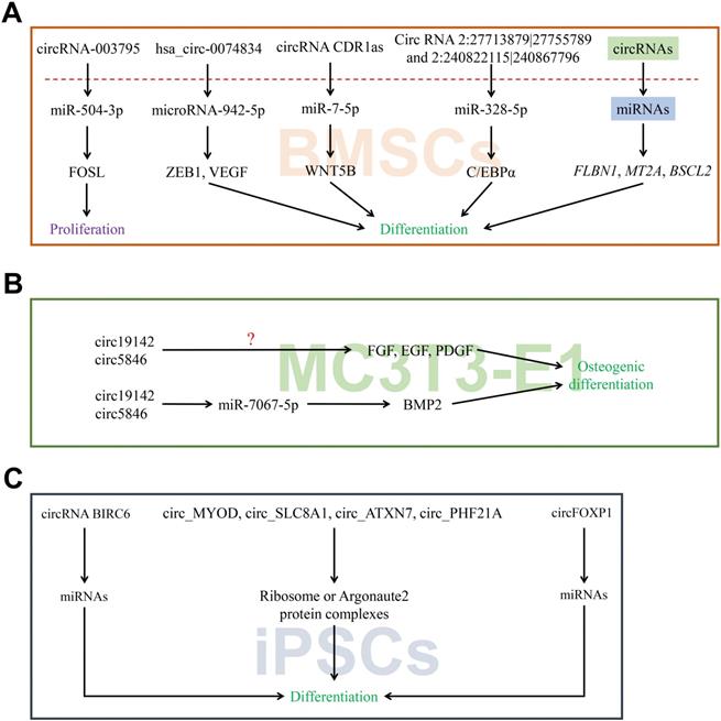 Int J Med Sci Image