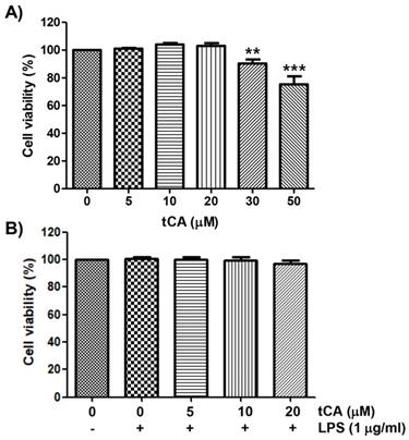 Int J Med Sci Image