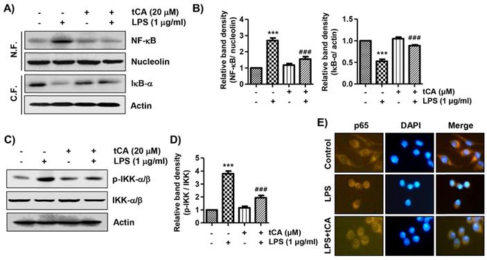 Int J Med Sci Image