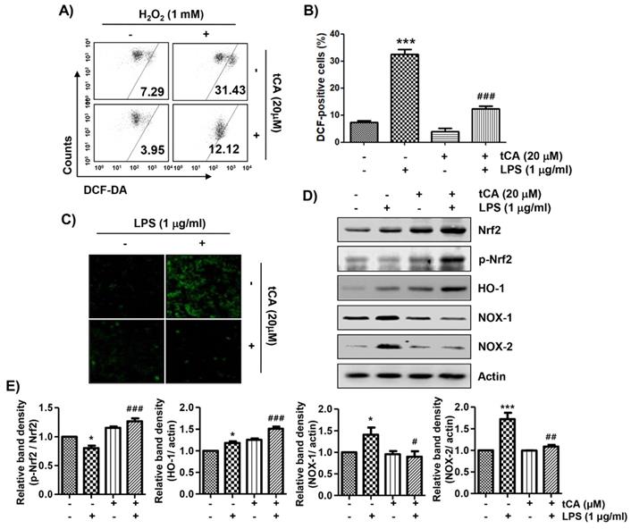 Int J Med Sci Image