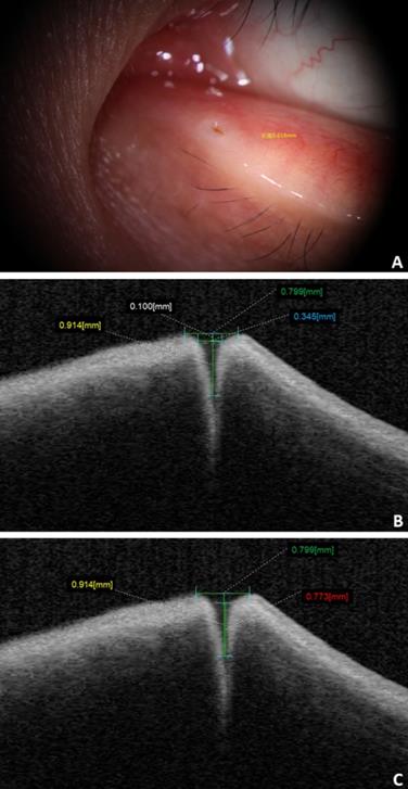 Int J Med Sci Image