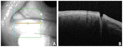 Int J Med Sci Image