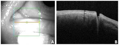 Int J Med Sci Image