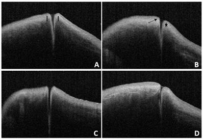 Int J Med Sci Image