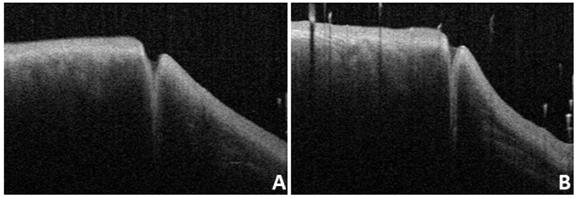 Int J Med Sci Image