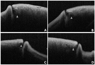 Int J Med Sci Image