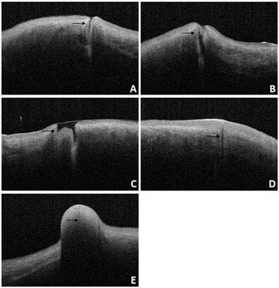 Int J Med Sci Image