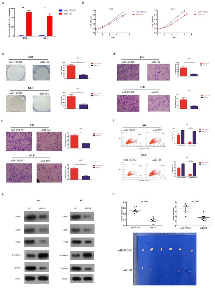 Int J Med Sci Image