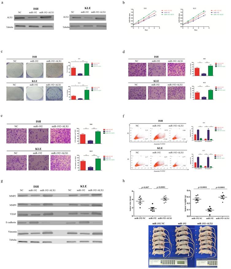 Int J Med Sci Image