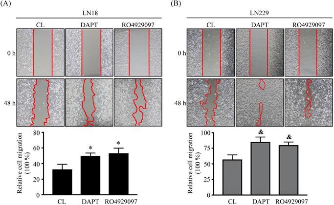 Int J Med Sci Image