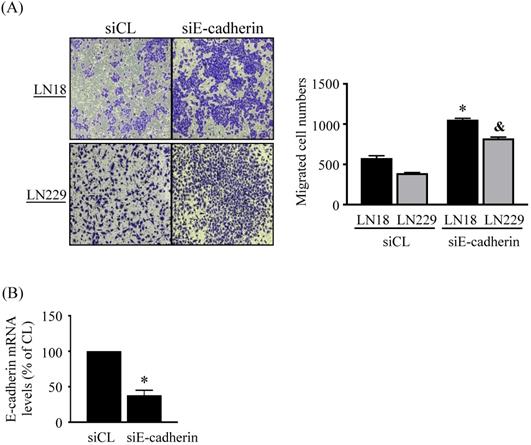 Int J Med Sci Image