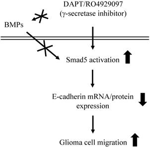 Int J Med Sci Image