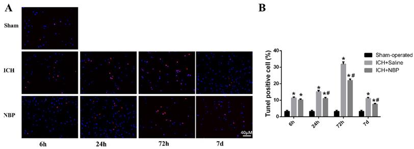 Int J Med Sci Image