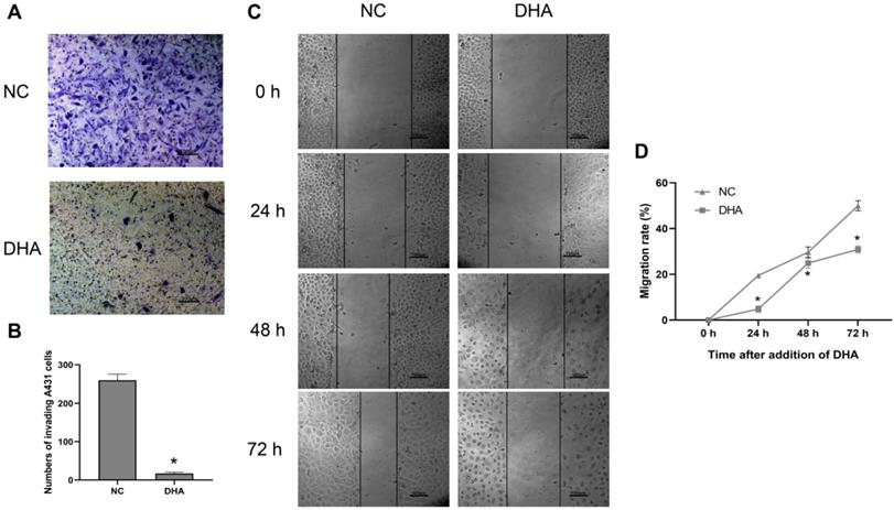 Int J Med Sci Image