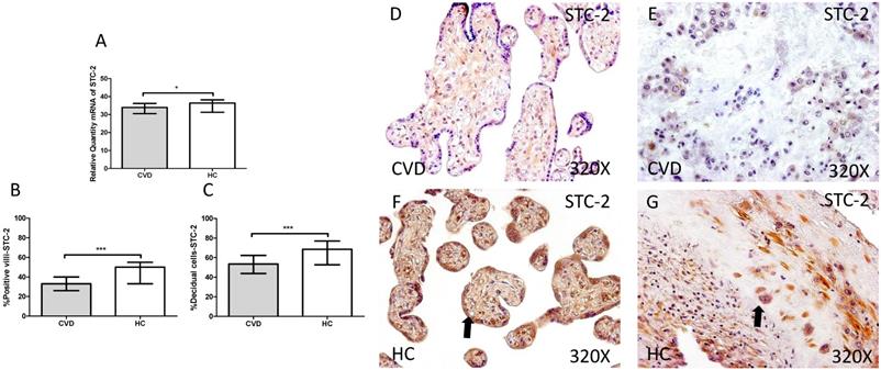 Int J Med Sci Image