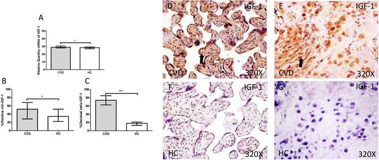 Int J Med Sci Image